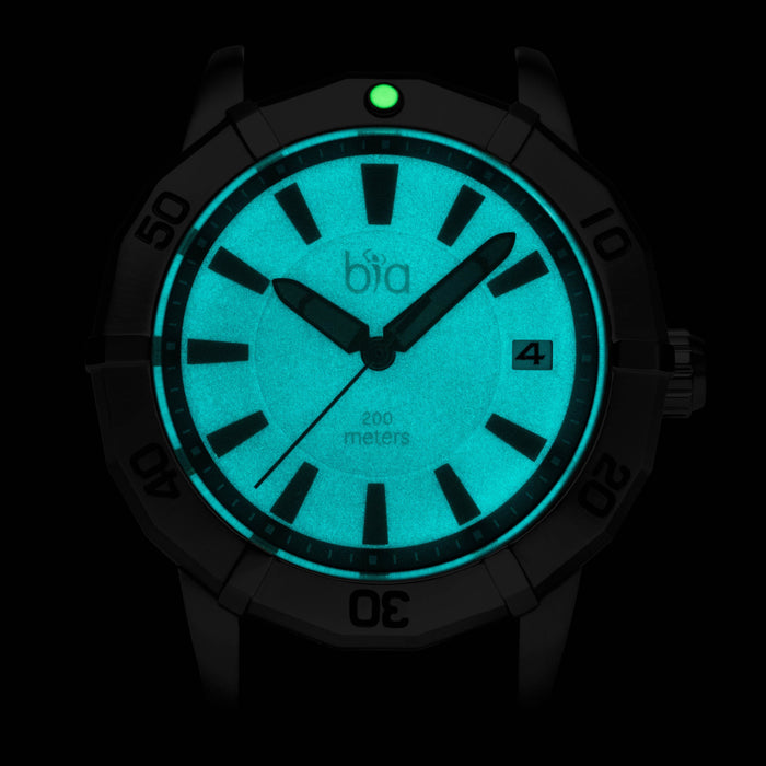 Bia 'Rosie' Dive Watch B2001