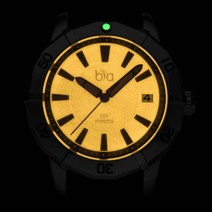 Bia 'Rosie' Dive Watch B2010